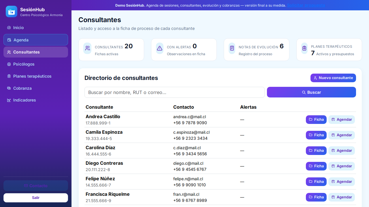 Captura de demo: Directorio de consultantes