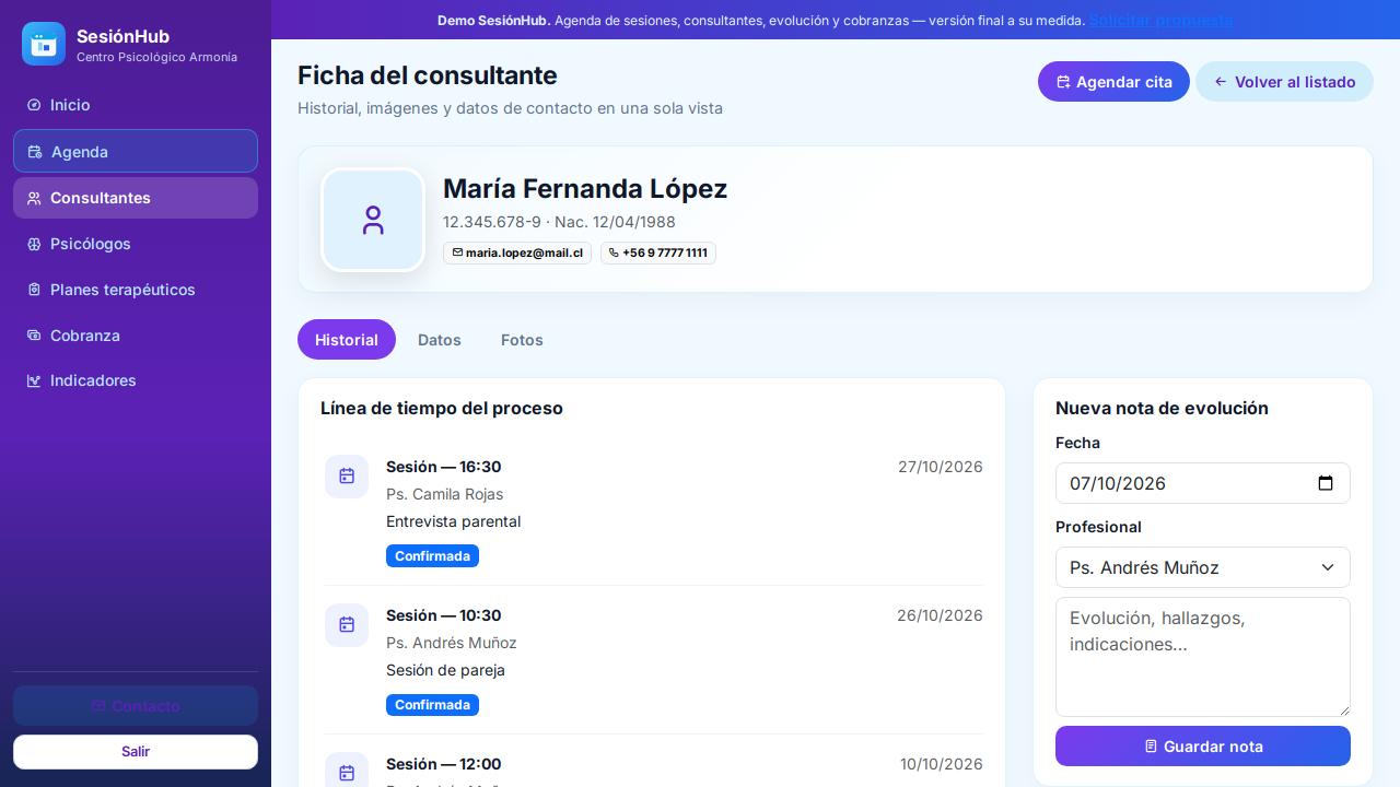 Captura de demo: Ficha del consultante y evolución